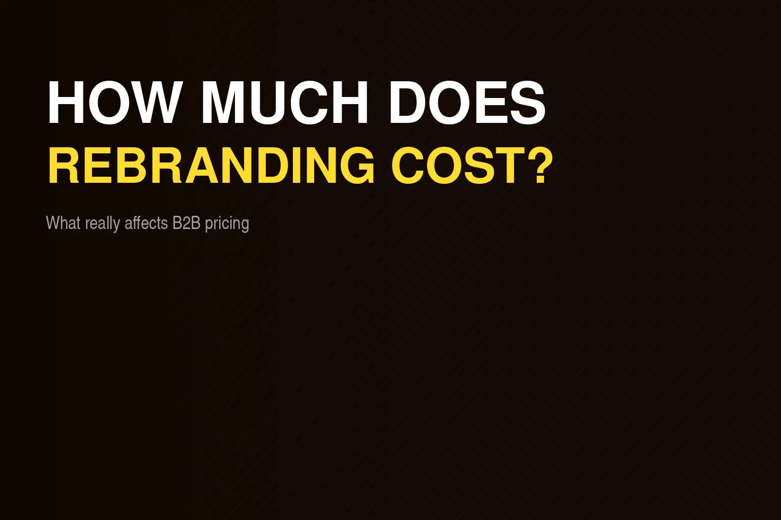 How much does B2B rebranding cost for an SME